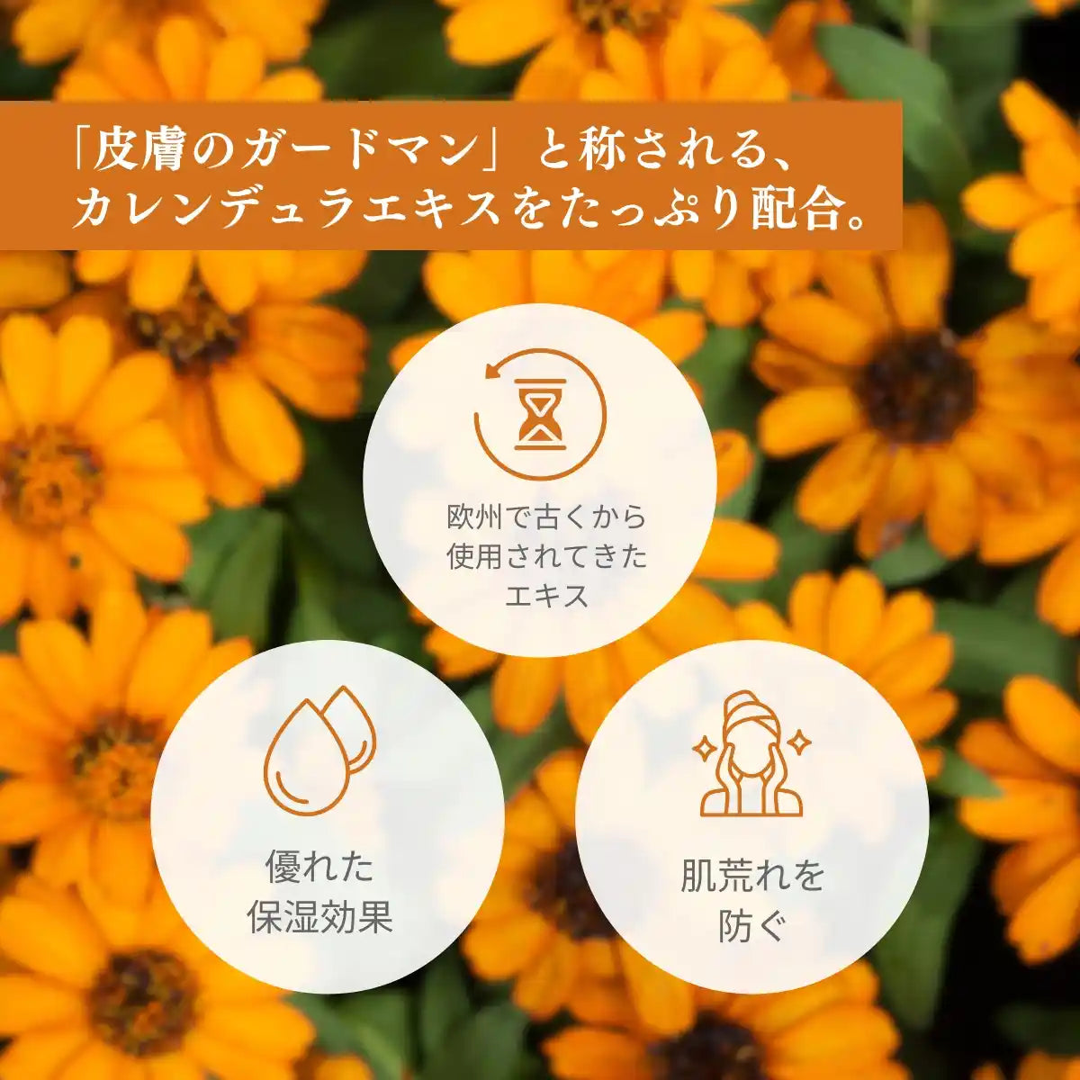 NATURE CAN CBDカレンデュラクリーム